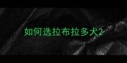 如何选拉布拉多犬