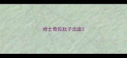哈士奇拉肚子出血