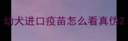 幼犬进口疫苗怎么看真伪