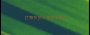 拉布拉多犬专用小窝