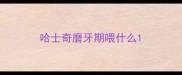 哈士奇磨牙期喂什么