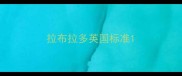 拉布拉多英国标准