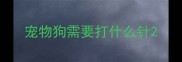 宠物狗需要打什么针