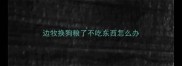 边牧换狗粮了不吃东西怎么办