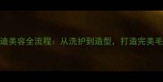 专业泰迪美容全流程从洗护到造型打造完美毛孩形象