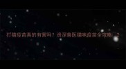 打猫疫苗真的有害吗资深兽医猫咪疫苗全攻略