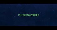 内江宠物店在哪里