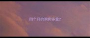 四个月的狗狗多重