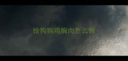 给狗狗鸡胸肉怎么做