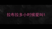 拉布拉多小时候爱叫
