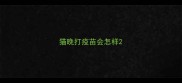 猫晚打疫苗会怎样