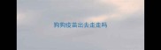 狗狗疫苗出去走走吗