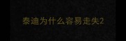 泰迪为什么容易走失