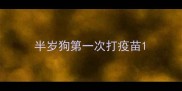 半岁狗第一次打疫苗