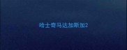 哈士奇马达加斯加