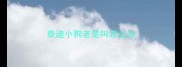 泰迪小狗老是叫怎么办