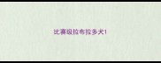 比赛级拉布拉多犬