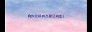 狗狗拉屎有点稀还有血