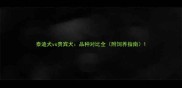 泰迪犬vs贵宾犬品种对比全附饲养指南