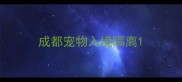 成都宠物入境隔离
