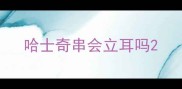 哈士奇串会立耳吗