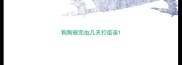 狗狗驱完虫几天打疫苗