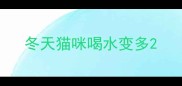 冬天猫咪喝水变多
