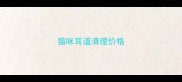 猫咪耳道清理价格