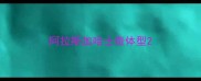 阿拉斯加哈士奇体型