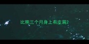 比熊三个月身上有皮屑