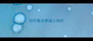 如何教会泰迪上厕所