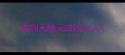 狗狗无缘无故咬主人