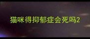 猫咪得抑郁症会死吗
