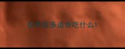 拉布拉多适合吃什么