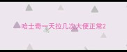 哈士奇一天拉几次大便正常