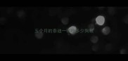 五个月的泰迪一顿吃多少狗粮