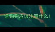 送狗狗应该注意什么