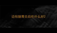 边牧肠胃炎后吃什么好