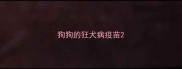 狗狗的狂犬病疫苗