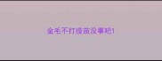 金毛不打疫苗没事吧