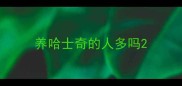 养哈士奇的人多吗