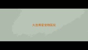 大连博爱宠物医院