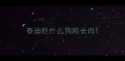 泰迪吃什么狗粮长肉