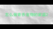 怎么做寄养宠物的家庭