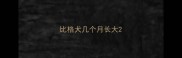 比格犬几个月长大