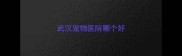 武汉宠物医院哪个好