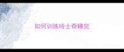 如何训练哈士奇睡觉
