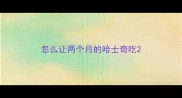 怎么让两个月的哈士奇吃