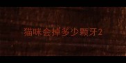 猫咪会掉多少颗牙