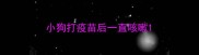 小狗打疫苗后一直咳嗽